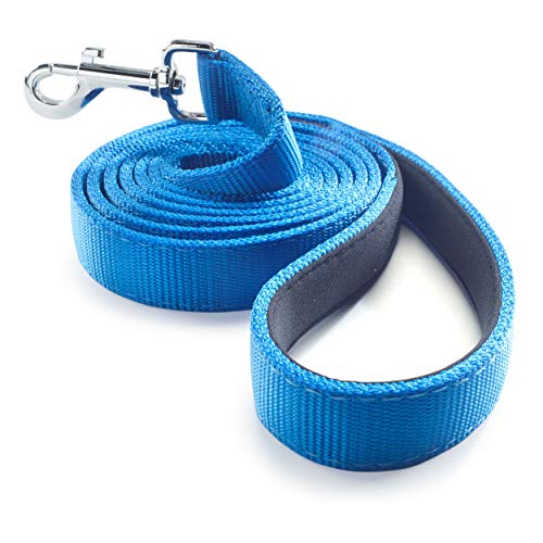 Dog Leash for Medium, Large and Small Dogs - 6 Foot Dog Leashes for Training and Daily Walks - Durable Sizes in Lightweight and Heavy Duty for Small and Large Breeds (2-Layer, Blue)