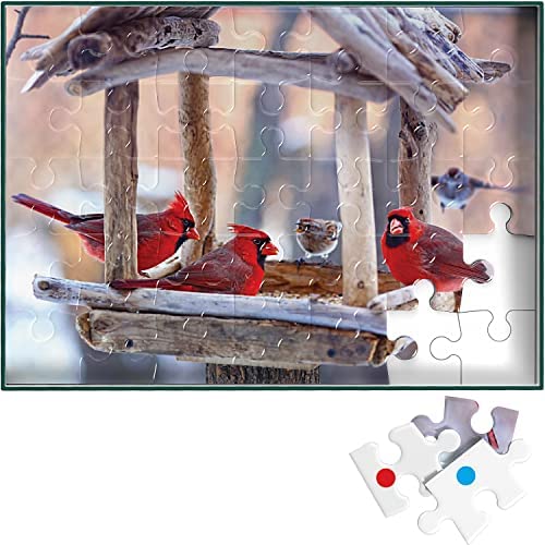 Book Cover Keeping Busy Dementia Puzzles for Elderly - Large Piece Puzzles for Seniors - 35 Piece Jigsaw Bird Puzzle - Color Coded with Templates - Dementia Activities for Seniors - Easy Adult Puzzle