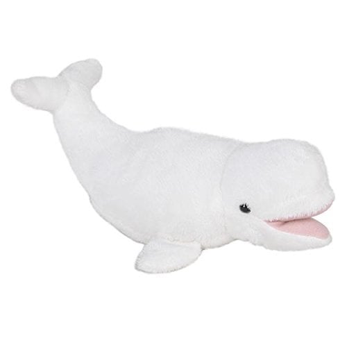 Book Cover Rhode Island Novelty White Beluga Whale Pounce Pal Plush Stuffed Animal