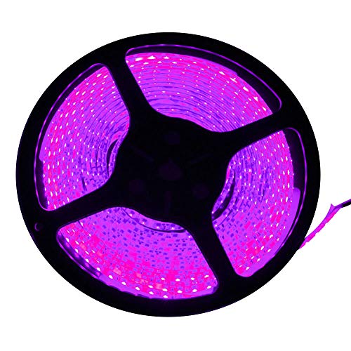 FAVOLCANO LED Strip Light, Pink, IP65 Waterproof, 12V DC, SMD 3528, 300 LEDs, 60Leds/M, 16.4 ft/5M LED Tape for Halloween, Thanksgiving, Christmas, Home, Business, Indoor, Outdoor Decoration.