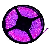 FAVOLCANO LED Strip Light, Pink, IP65 Waterproof, 12V DC, SMD 3528, 300 LEDs, 60Leds/M, 16.4 ft/5M LED Tape for Halloween, Thanksgiving, Christmas, Home, Business, Indoor, Outdoor Decoration.