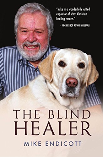 The Blind Healer by Mike Endicott (19-Aug-2011) Paperback