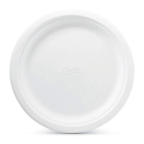 Chinet 10 3/8" Diameter Big Party Pack, Heavy Weight Paper Dinner Plates, 165 Count, Classic White