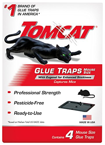 Tomcat Mouse Trap with Immediate Grip Glue for Mice, Cockroaches, Spiders, and Scorpions, Ready-To-Use, 4 Traps