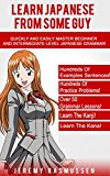 Learn Japanese From Some Guy: Quickly and Easily Master Beginner and Intermediate Level Japanese Grammar