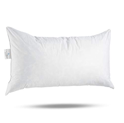ComfyDown 95% Feather 5% Down, 12 X 22 Rectangle Decorative Pillow Insert, Sham Stuffer - Made in USA