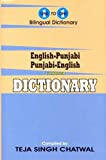 English-Punjabi & Punjabi-English One-to-one Dictionary - Script & Roman by T. S. Chatwal (1-Nov-2010) Hardcover