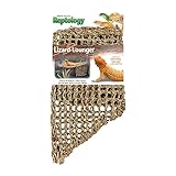 Penn-Plax Reptology Lizard Lounger Corner Triangle with Ladder– 100% Natural Seagrass Fiber – Great for Bearded Dragons, Anoles, Geckos, and Other Reptiles – Large