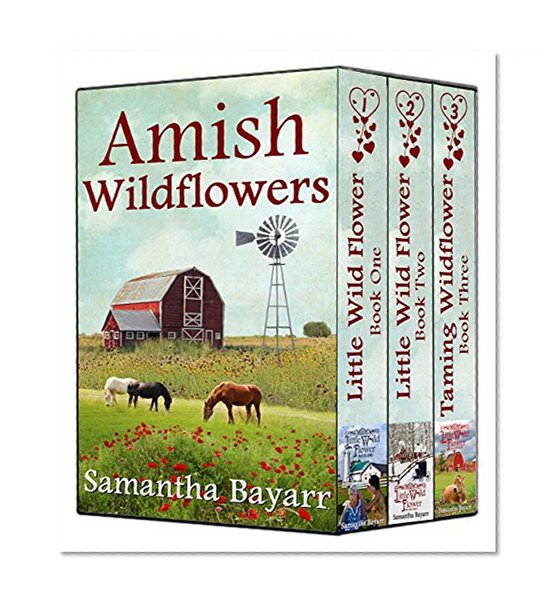 Amish Wildflowers (Amish Romance Collection): Little Wild Flower BOXED SET