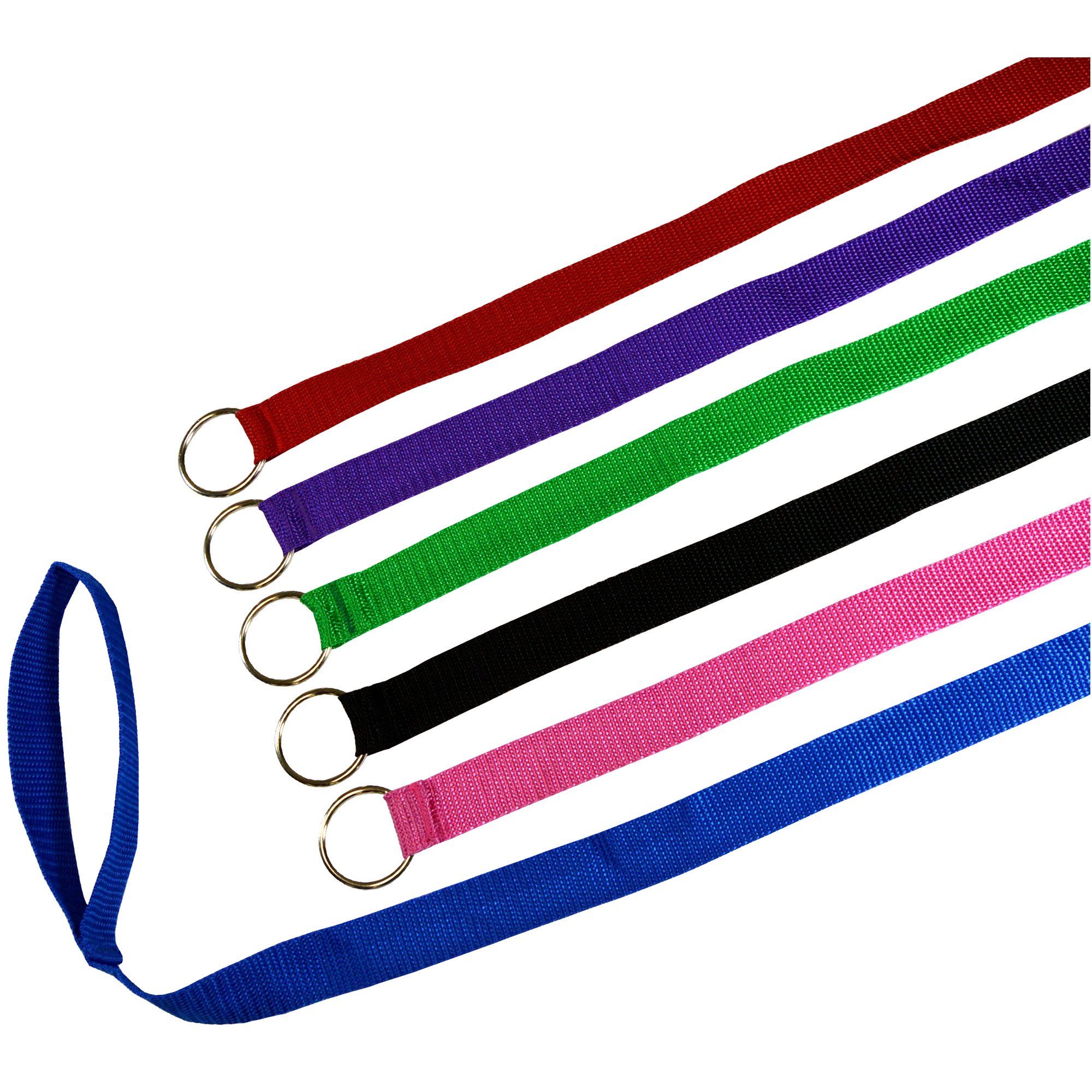 Downtown Pet Supply - 6ft Dog Kennel Slip Lead Dog Leash - Veterinarian, Dog Grooming, Daycare & Animal Rescue Dog Supplies - One Size Leads for Dogs Bulk - 1" Thick 24 Pack