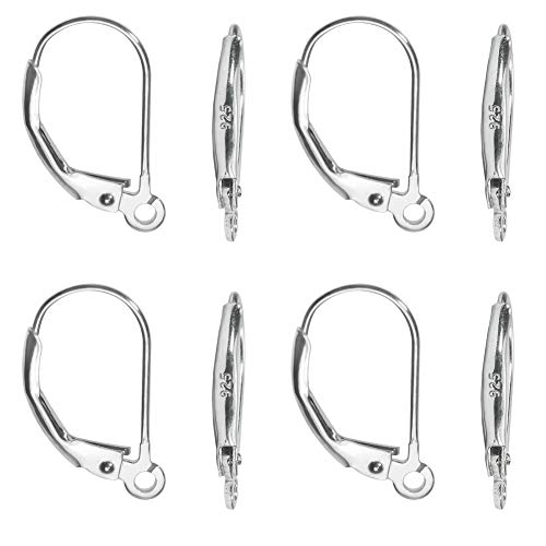 Book Cover TOAOB 8pcs 925 Sterling Silver French Earring Hooks Lever Back Earwires Hypoallergenic Jewelry Findings