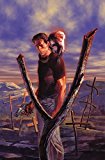 Absolute Y: The Last Man Vol. 2 by Vaughn, Brian K.(March 1, 2016) Hardcover