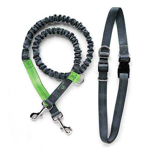 Mighty Paw Hands Free Dog Leash | Premium Runners Pet Lead and Adjustable Hip Belt. Lightweight Reflective Bungee System for Training, Walking, Jogging, Hiking and Running. Extra Long (Grey, 48 inch)