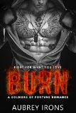 Burn (Military Bad Boy Billionaire Romance) (Soldiers of Fortune Book 2)