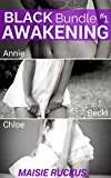 Black Awakening Bundle #1 - Annie, Becki, Chloe (First Time BMWW Interracial Erotica)