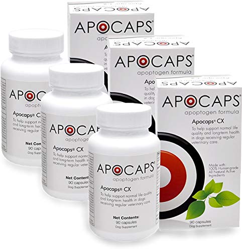Apocaps CX Apoptogen Formula for Dogs (270 Capsules) - Supports Normal Levels of Apoptosis + Human Grade Ingredients Including Citrus Bioflavonoids, Silymarin, Curcumin and Turmeric + Biovadex
