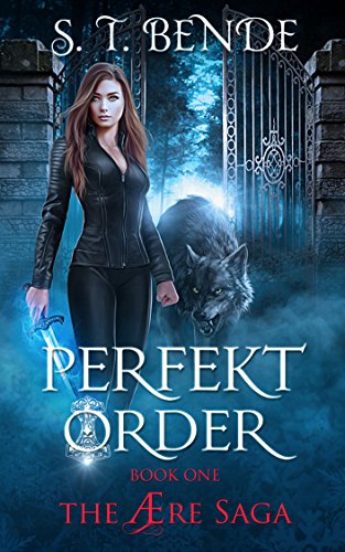 Book Cover Perfekt Order (The Ã†re Saga Book 1)