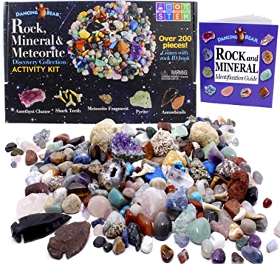 Book Cover Dancing Bear Rock & Mineral Collection Activity Kit (200 Pc Set) with Meteorite, Real Shark Teeth Fossils, Arrowheads, Crystals, Gemstones, Treasure Hunt ID Sheet, STEM Science Education, Made in USA