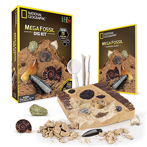 Book Cover NATIONAL GEOGRAPHIC Mega Fossil Dig Kit - Excavate 15 real fossils including Dinosaur Bones, Mosasaur & Shark Teeth - Great STEM Science gift for Paleontology and Archeology enthusiasts of any age