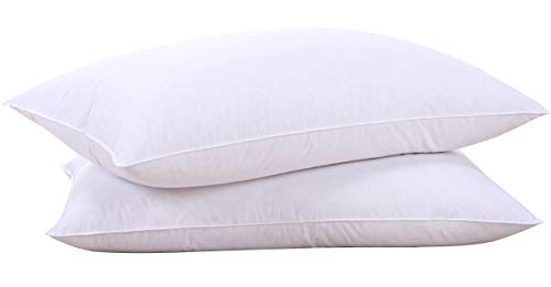 Book Cover Goose Feathers and Down White Pillow Inserts, Bed Sleeping Hotel Collection Pillows Set of 2 Standard Size