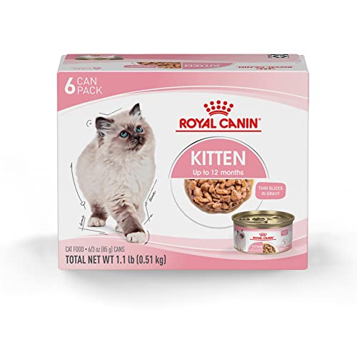 Royal Canin Feline Health Nutrition Kitten Thin Slices in Gravy Canned Cat Food, 3 oz cans 6-pack