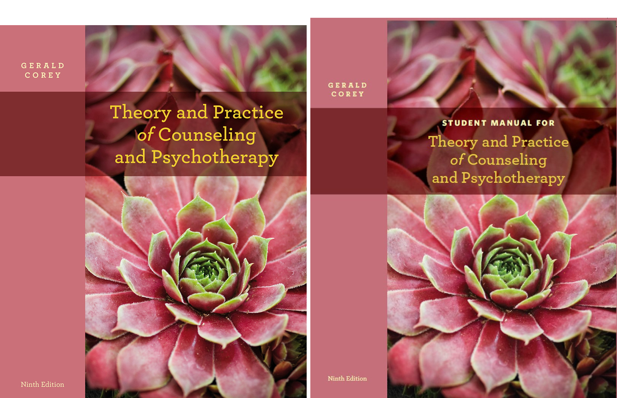 Bundle: Theory and Practice of Counseling and Psychotherapy, 9th + Student Manual (2 Book Series)