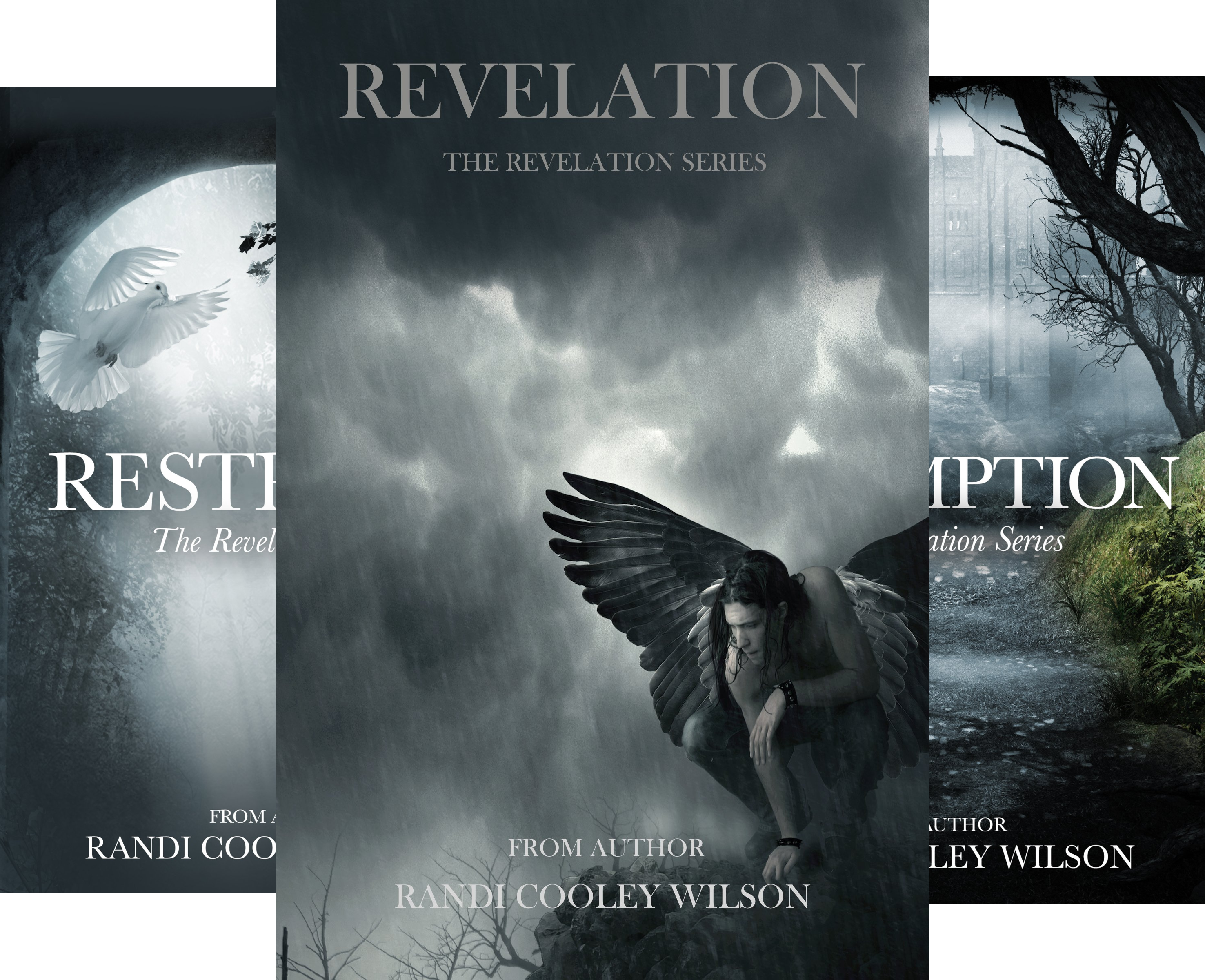 The Revelation Series (5 Book Series)