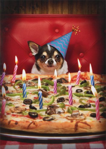 Dog with Birthday Pizza - Avanti Stand Out Pop Up Funny Birthday Card