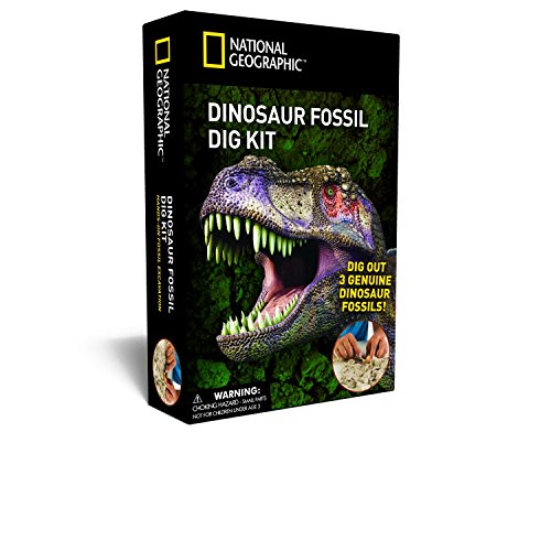 Book Cover National Geographic Dinosaur Dig Kit