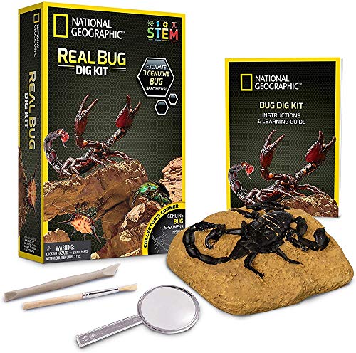 Book Cover NATIONAL GEOGRAPHIC Real Bug Dig Kit - Dig up 3 Real Insects including Spider, Fortune Beetle and Scorpion - Great STEM Science gift