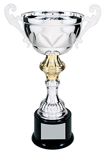 Decade Awards Cup Trophy, Silver and Gold - Metal Corporate Cup Award - Engraved Plate on Request