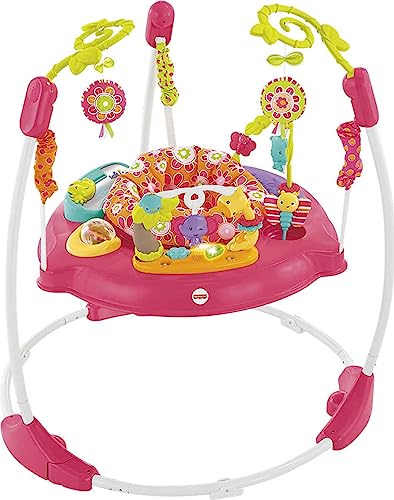 Book Cover Fisher-Price Jumperoo: Pink Petals