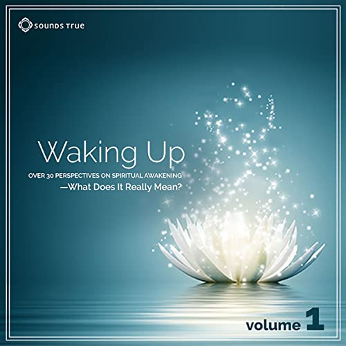 Waking Up: Volume 1: Over 30 Perspectives on Spiritual Awakening: What Does It Really Mean? Volume 1