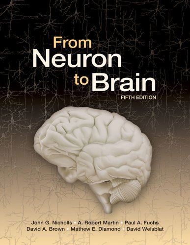 From Neuron to Brain by John G. Nicholls (2012-02-29)
