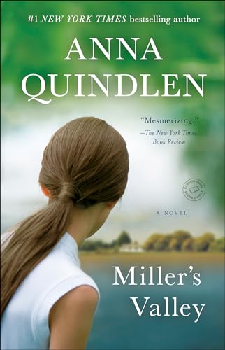 Miller's Valley: A Novel