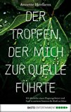 Der Tropfen, der mich zur Quelle führte: Ich überlebte einen Flugzeugabsturz und fand in meinem Inneren die Kraft zu leben (Erfahrungen) (German Edition)