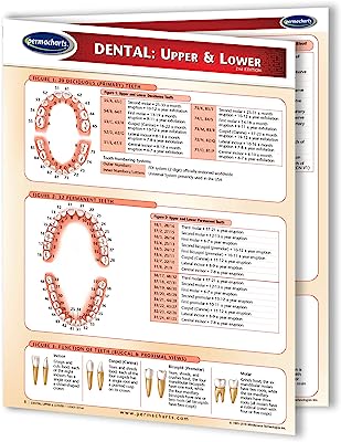 Book Cover Dental: Upper & Lower Chart- Medical Quick Reference Guide by Permacharts