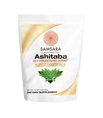 Samsara Herbs Ashitaba Extract Powder (16oz/454g) 20:1 Concentrated Extract