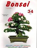 Bonsai Today #34, November-December 1994