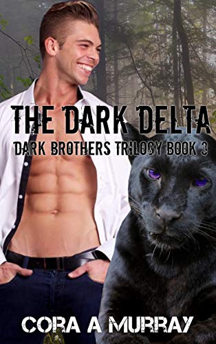 Book Cover The Dark Delta (Dark Brothers Trilogy Book 3)