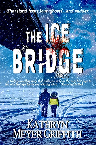 Book Cover The Ice Bridge