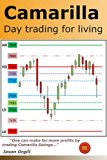 Camarilla day trading for living: One can make far more profits by trading Camarilla Swings...