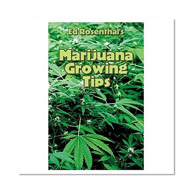 Ed Rosenthal's Marijuana Growing Tips