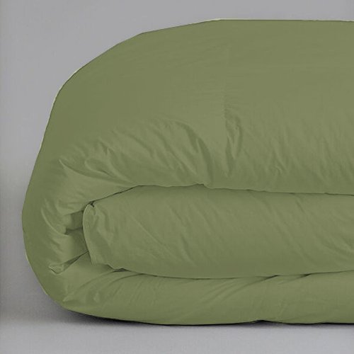 Book Cover ienjoy Home Hotel Collection 1500 Series - Lightweight - Luxury Goose Down Alternative Comforter - Hotel Quality Comforter - Full/Queen - Sage