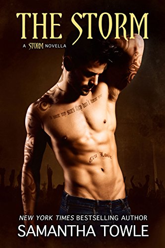 The Storm (The Storm Series Book 4)