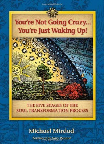 You're Not Going Crazy... You're Just Waking Up!: The Five Stages of Soul Transformation Process by Michael Mirdad (2008-11-03)