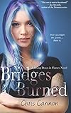 Bridges Burned (a Going Down in Flames novel) by Chris Cannon (2015-01-22)