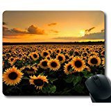 Mouse Pad with Sunflower Field Non-Slip Neoprene Rubber desktop/computer mouse mat. Size: 9 Inch(220mm) X 7 Inch(180mm) X 1/8(3mm)