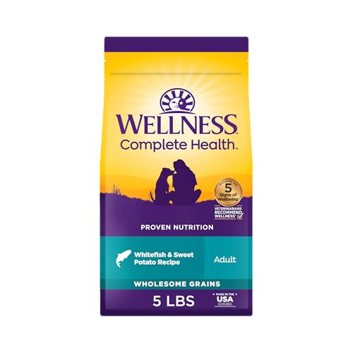 Wellness Natural Pet Food Complete Health Natural Dry Dog Food, Whitefish & Sweet Potato, 5-Pound Bag