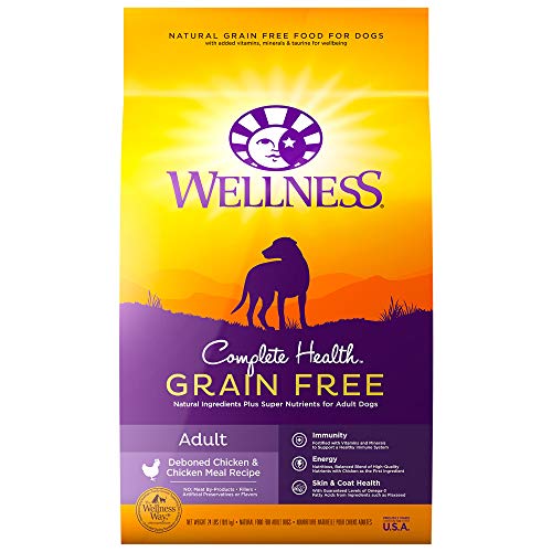 Book Cover Wellness Natural Pet Food Complete Health Natural Grain Free Dry Dog Food, Chicken, 24-Pound Bag